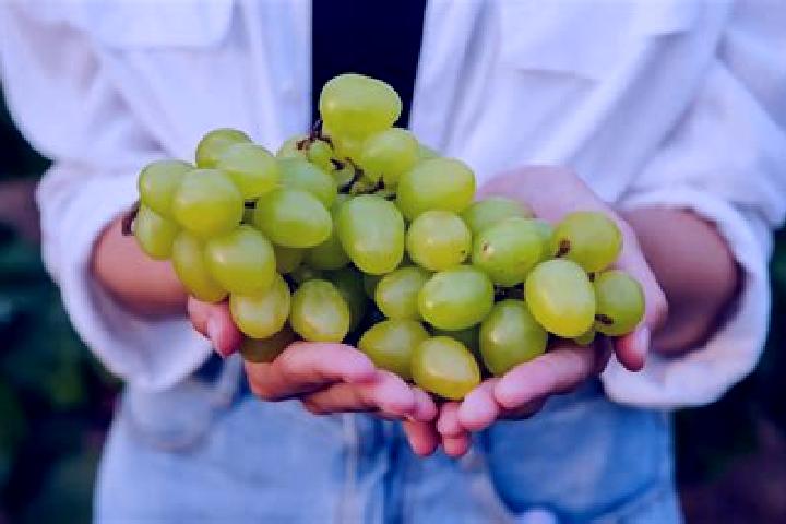 escort Las Uvas