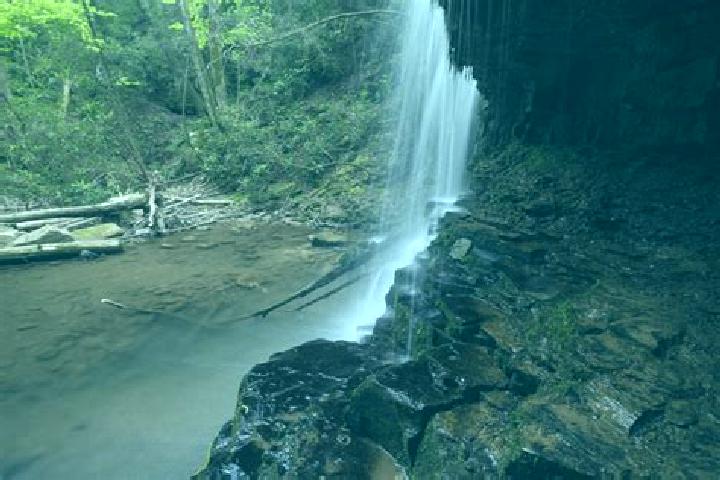 escort Laurel Run