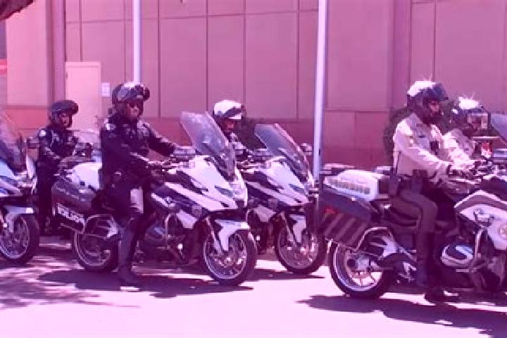 escort Law