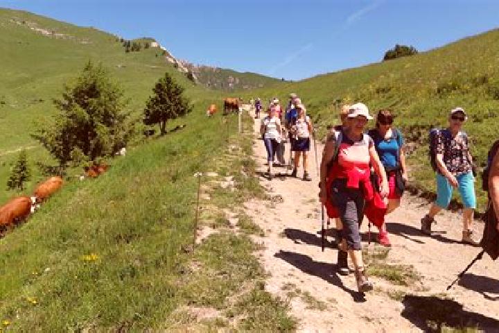 escort Le Chambon