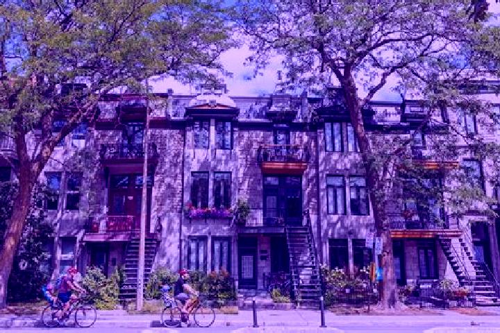 escort Le Plateau-Mont-Royal