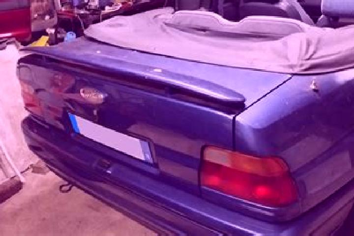escort Le Selve