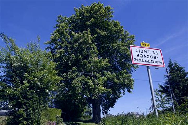 escort Le Theil-Bocage
