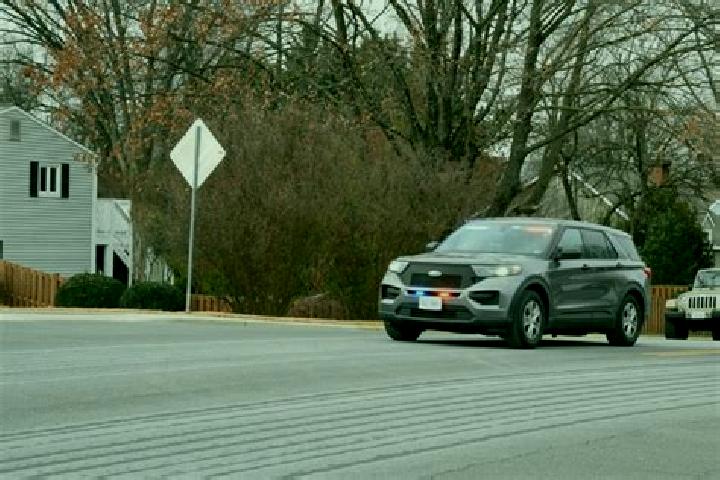 escort Leesburg