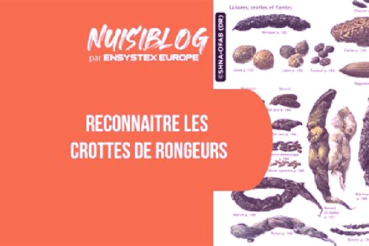 escort Les Crottes