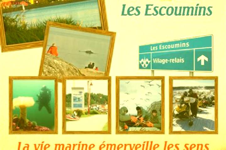 escort Les Escoumins