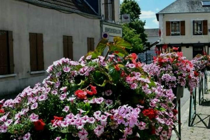 escort Les Essarts