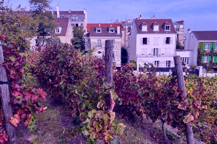 escort Les Rues-des-Vignes