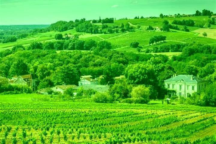 escort Lesparre-Medoc