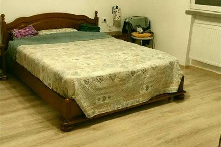 escort Letca Noua