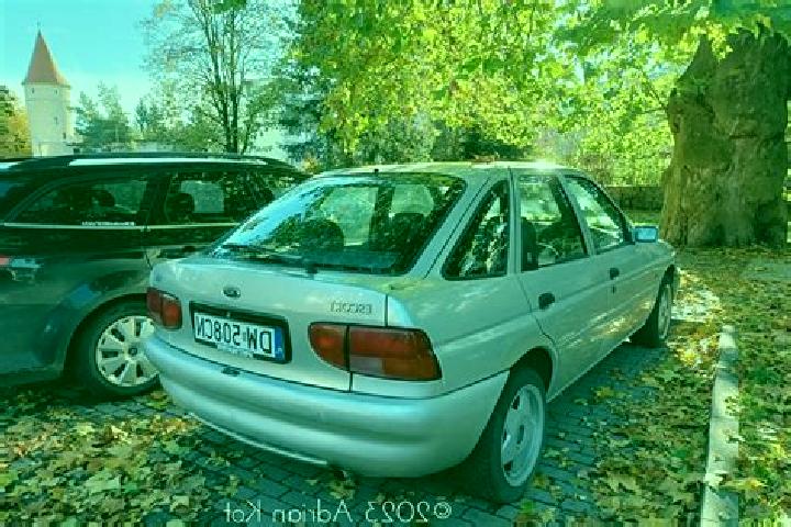 escort Lewenberg