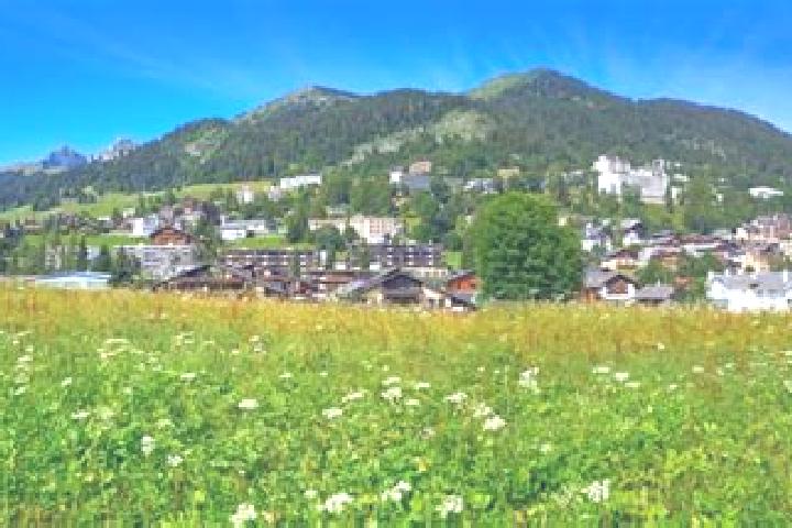escort Leysin
