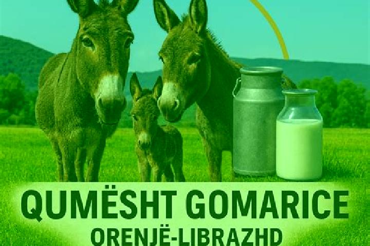 escort Librazhd-Qender