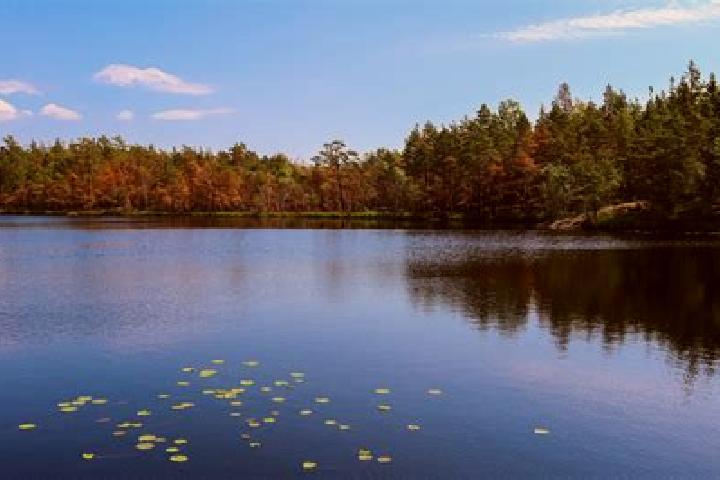 escort Lily Lake