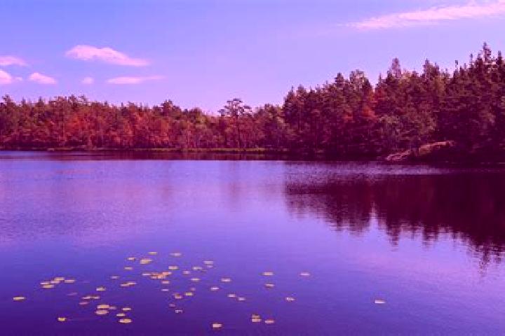 escort Little Round Lake
