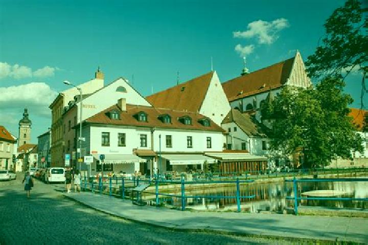 escort Litvinovice