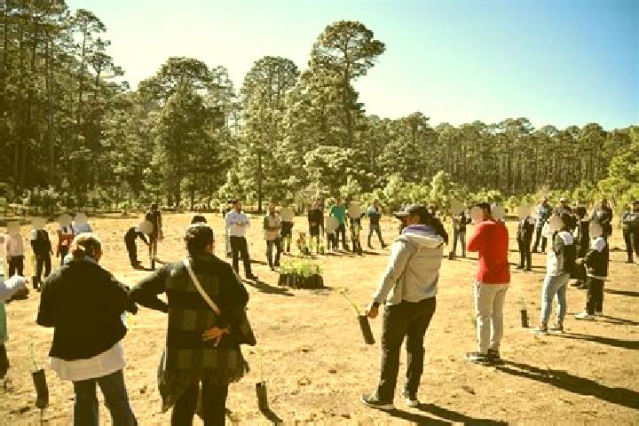 escort Llano de Zacapexco