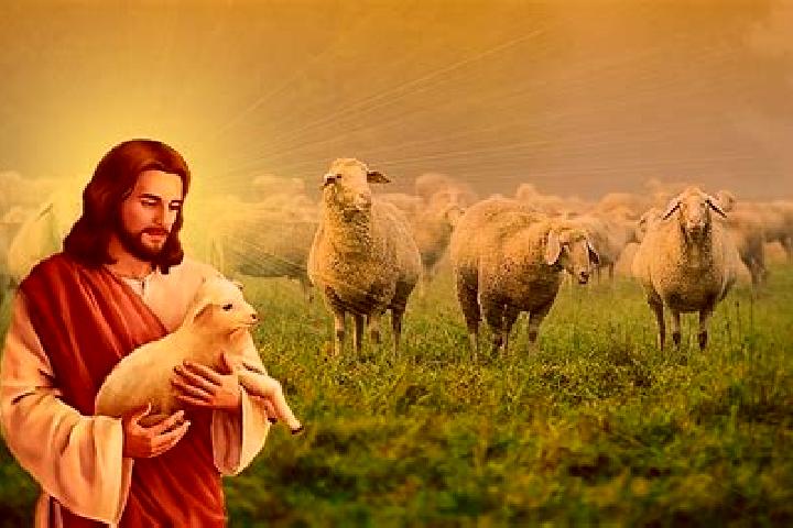 escort Lo de Jesus (Campo Romero)