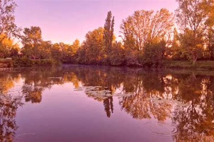 escort Loire-sur-Rhone