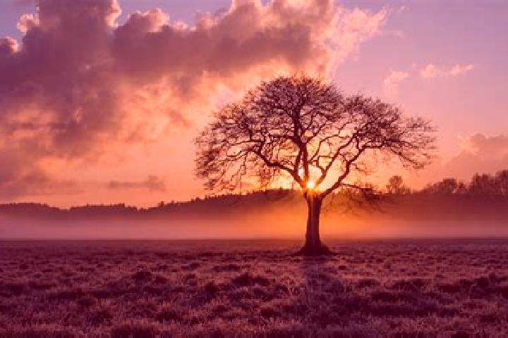 escort Lone Tree