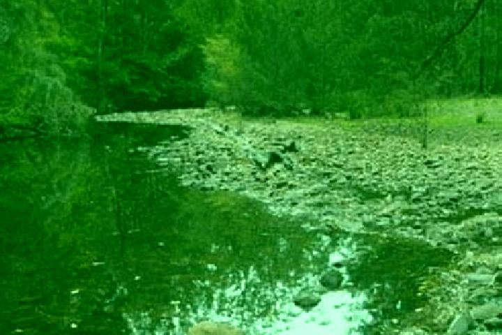 escort Long Gully