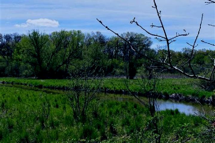 escort Long Prairie