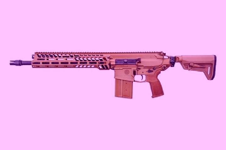 escort Longgun