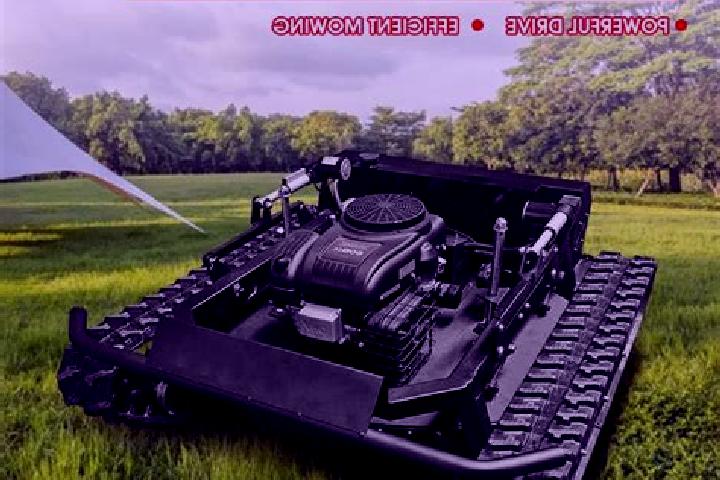 escort Longjie