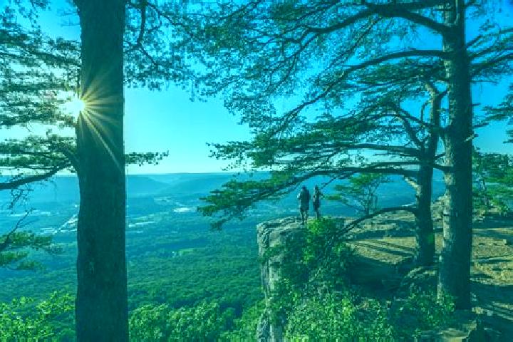 escort Lookout Mountain