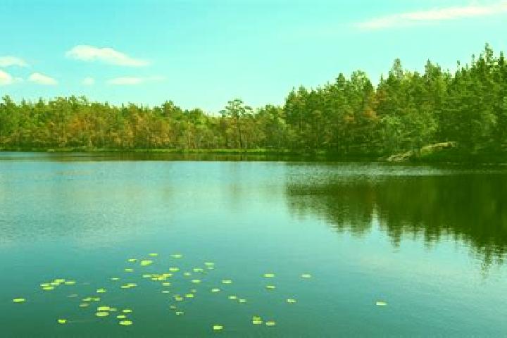 escort Loon Lake