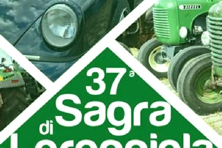 escort Loreggiola