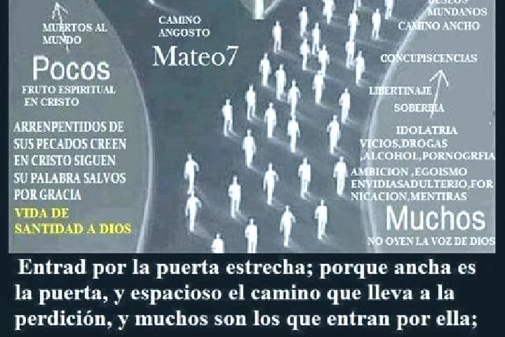 escort Los Dos Caminos