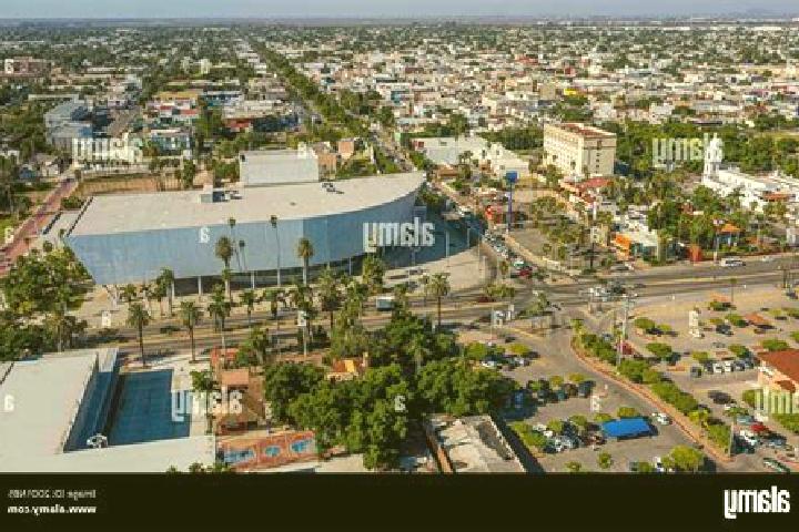 escort Los Mochis