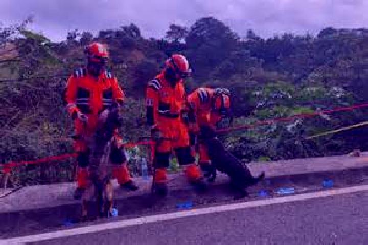 escort Los Ocotes