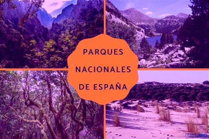 escort Los Parques