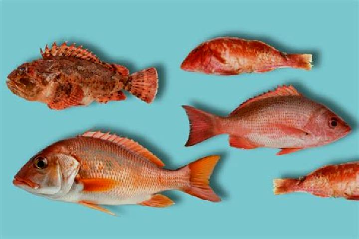 escort Los Pescados