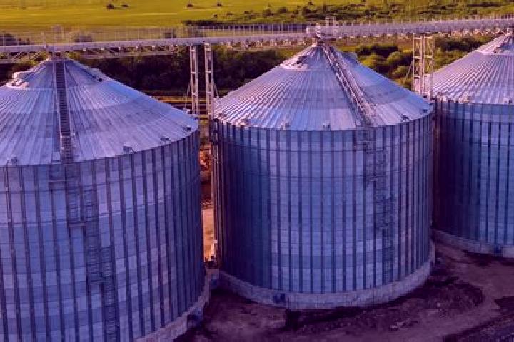escort Los Silos