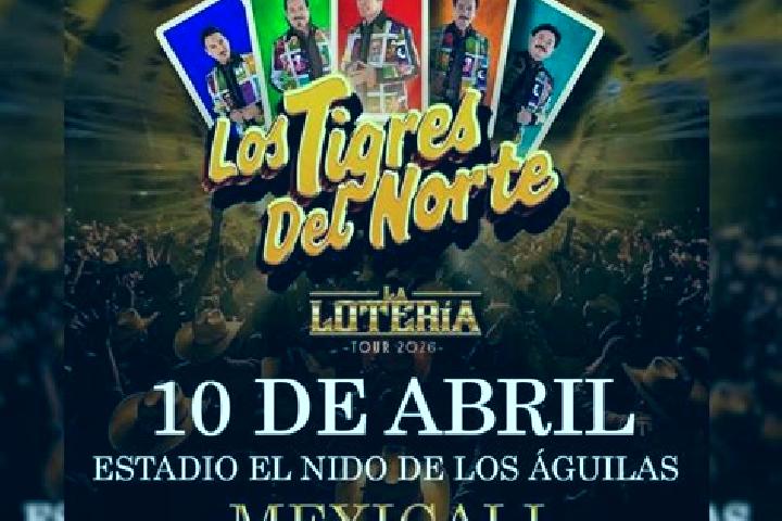 escort Los Tigres (San Marcos)