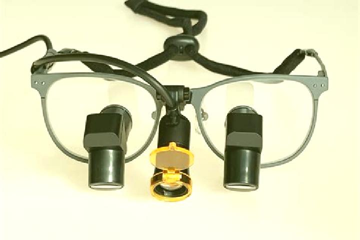escort Loupes