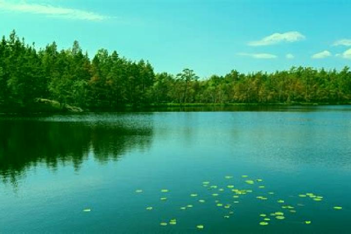 escort Lower Lake