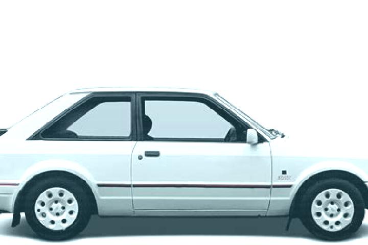 escort Loyola