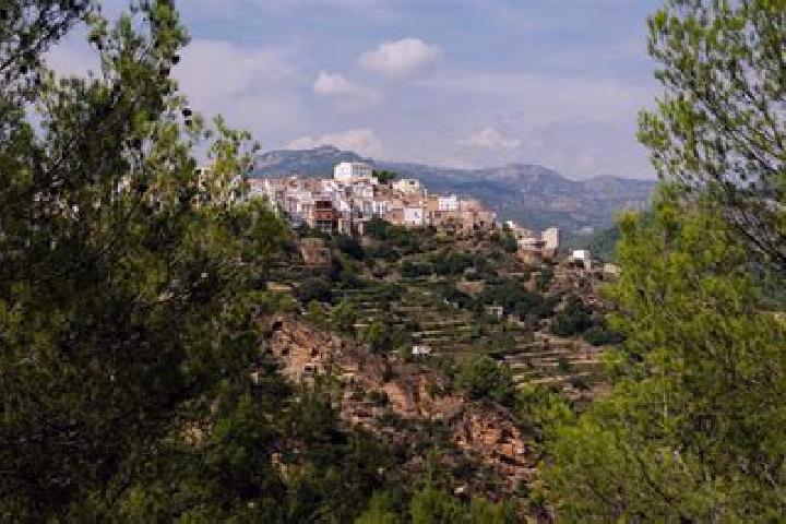 escort Lucena del Cid