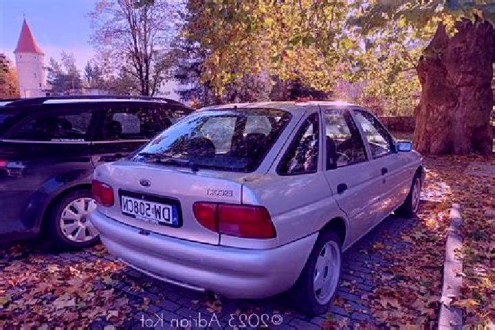 escort Luhden