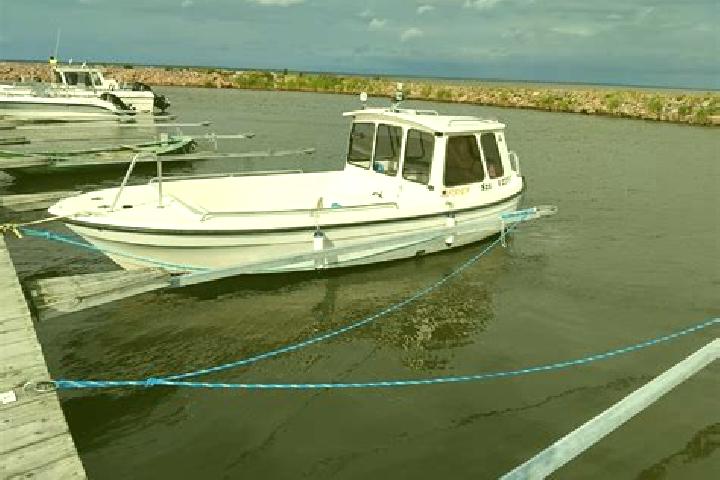 escort Lumijoki