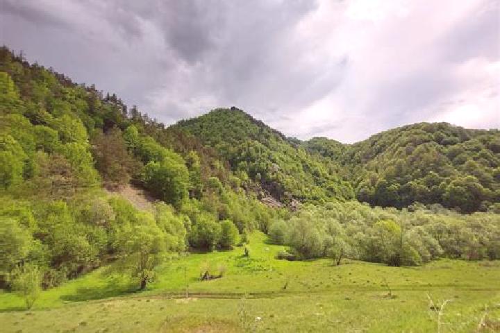 escort Lunca Cernii de Jos