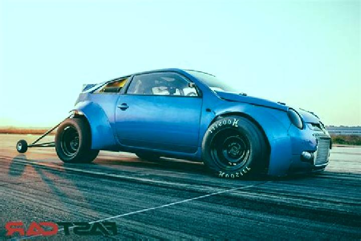 escort Lupo