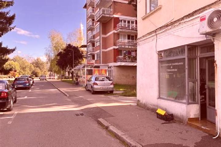 escort Luzani Bosanski
