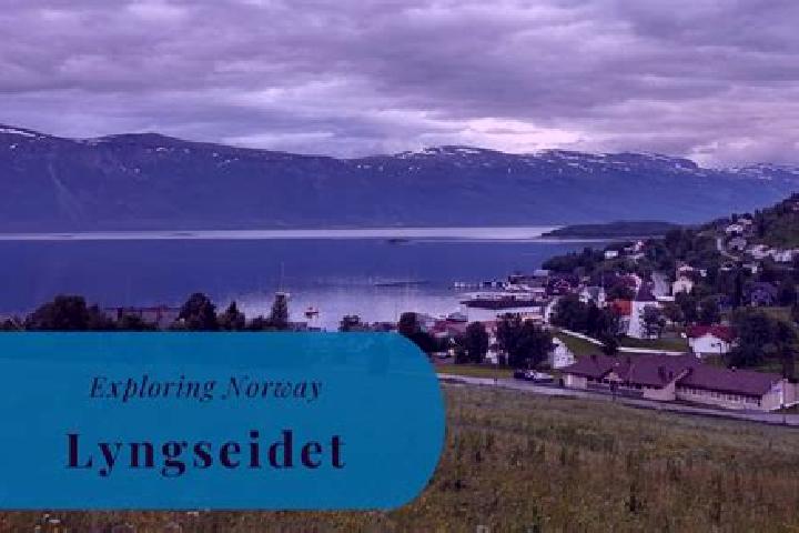 escort Lyngseidet