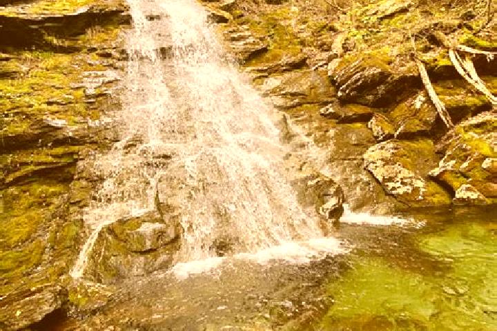 escort Lyons Brook