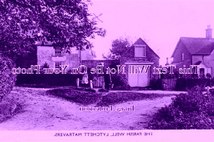 escort Lytchett Matravers